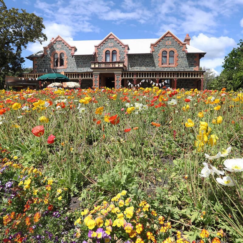 Isel House and Park exterior by Nelson City Council