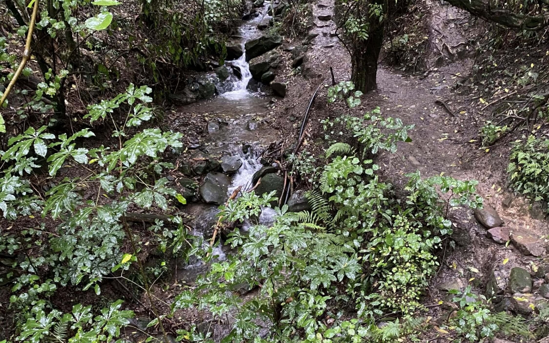 Jimmy Lee Creek credit Wild Things (1)