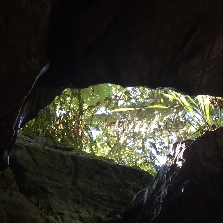 Maitai Cave, credit Gisela Purcell 3