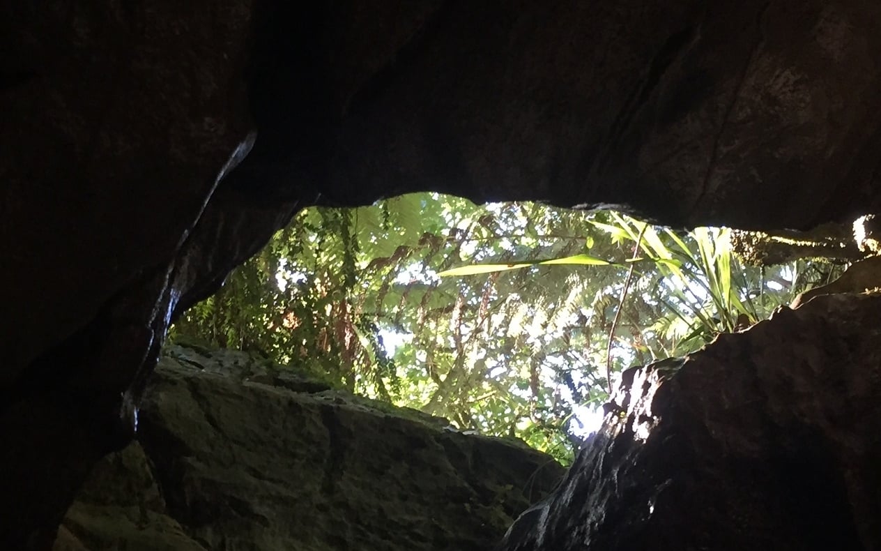 Maitai Caves Walk
