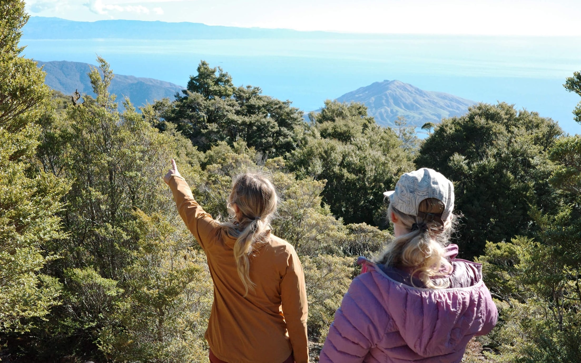 Mount Duppa Richmond Forest Park credit NelsonTasmanNZ (3b)