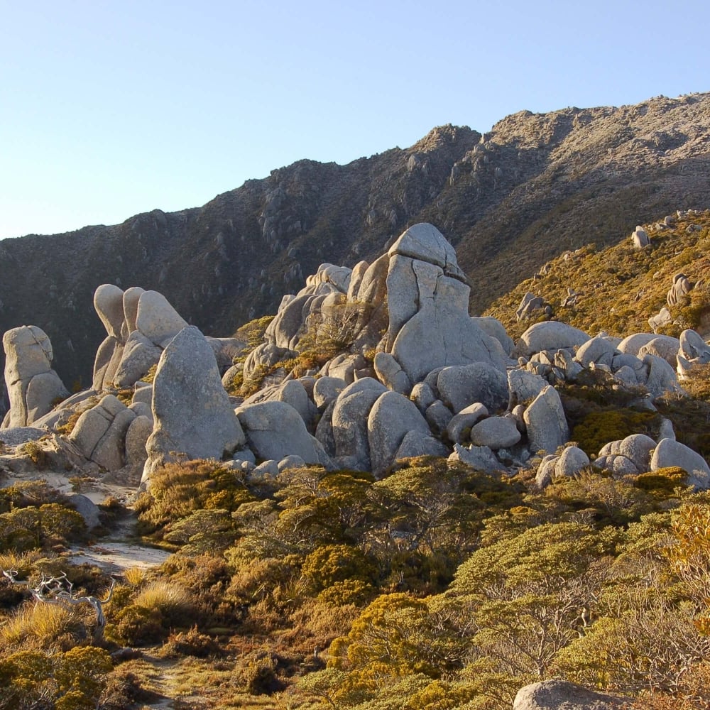 Another of the famous locations of Lord of the Rings films is Mount Olympus in the Kahurangi National Park.