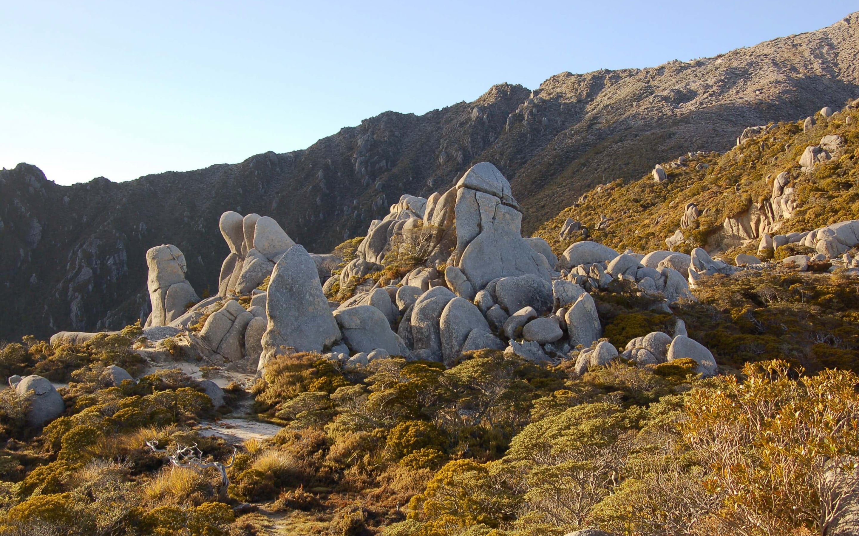Another of the famous locations of Lord of the Rings films is Mount Olympus in the Kahurangi National Park.