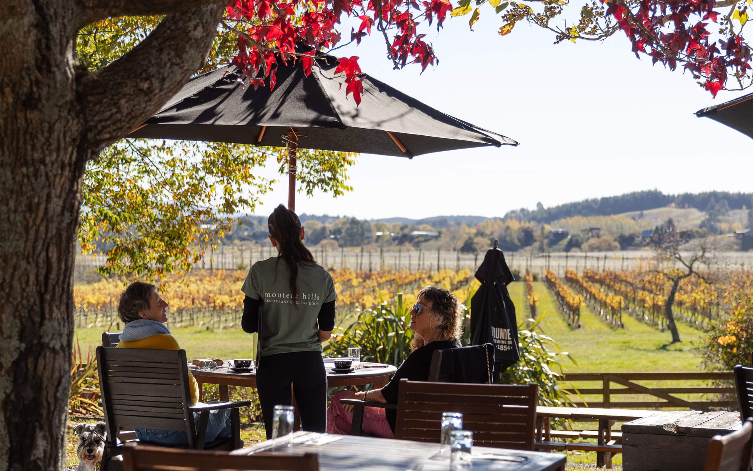 Tucked among rolling vineyards, Moutere Hills Restaurant serves up local flavours with a view that’s hard to beat.