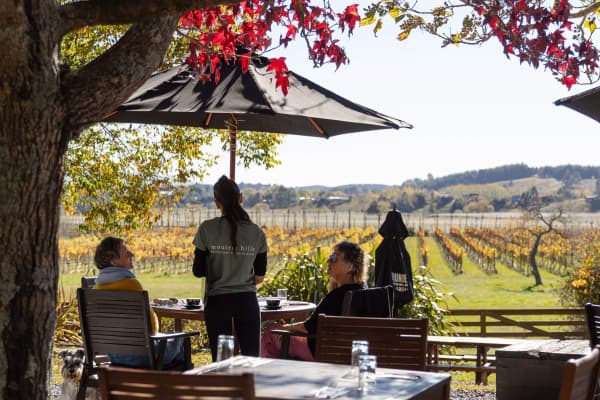 Tucked among rolling vineyards, Moutere Hills Restaurant serves up local flavours with a view that’s hard to beat.