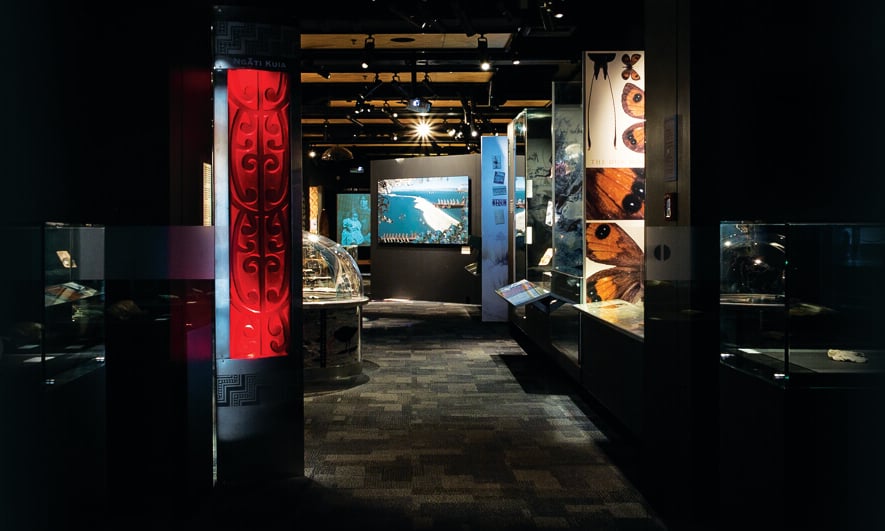 The Nelson Provincial Museum is where our region’s stories come to life.