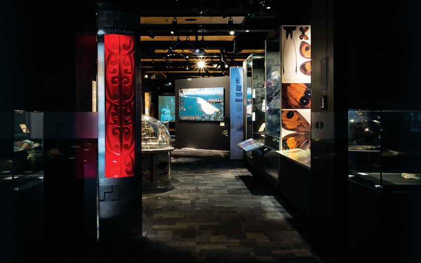 The Nelson Provincial Museum is where our region’s stories come to life.