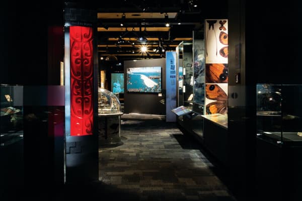 The Nelson Provincial Museum is where our region’s stories come to life.