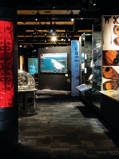 The Nelson Provincial Museum is where our region’s stories come to life.