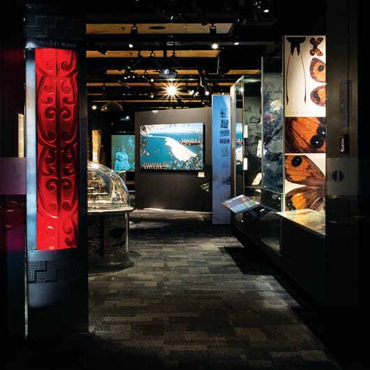 The Nelson Provincial Museum is where our region’s stories come to life.