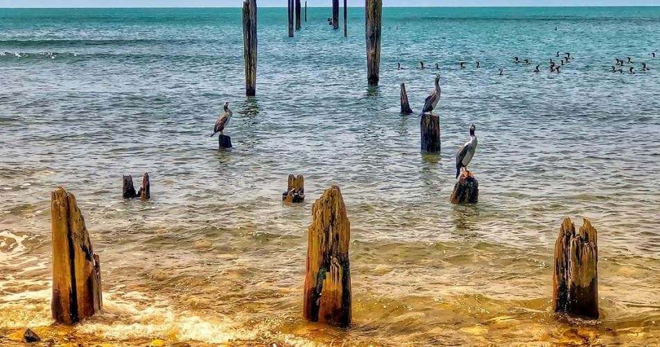 Onekaka Wharf by Amber Winter