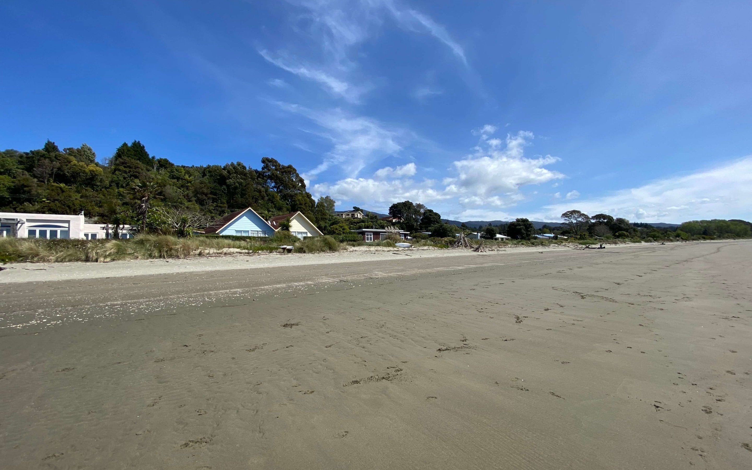 Patons Rock Golden Bay