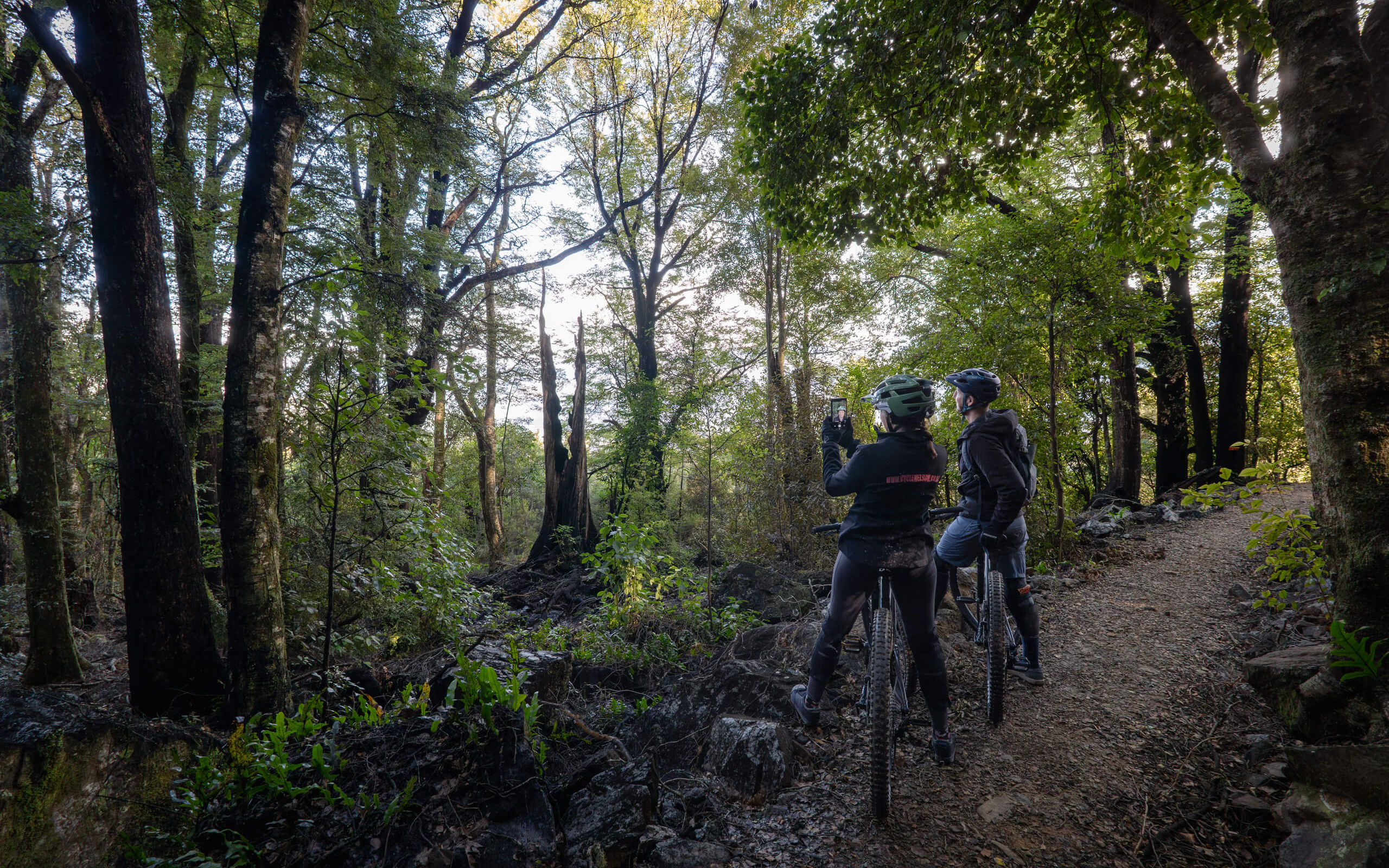 Pikikirunga Trail with Cycle Nelson credit NelsonTasmanNZ web 06626