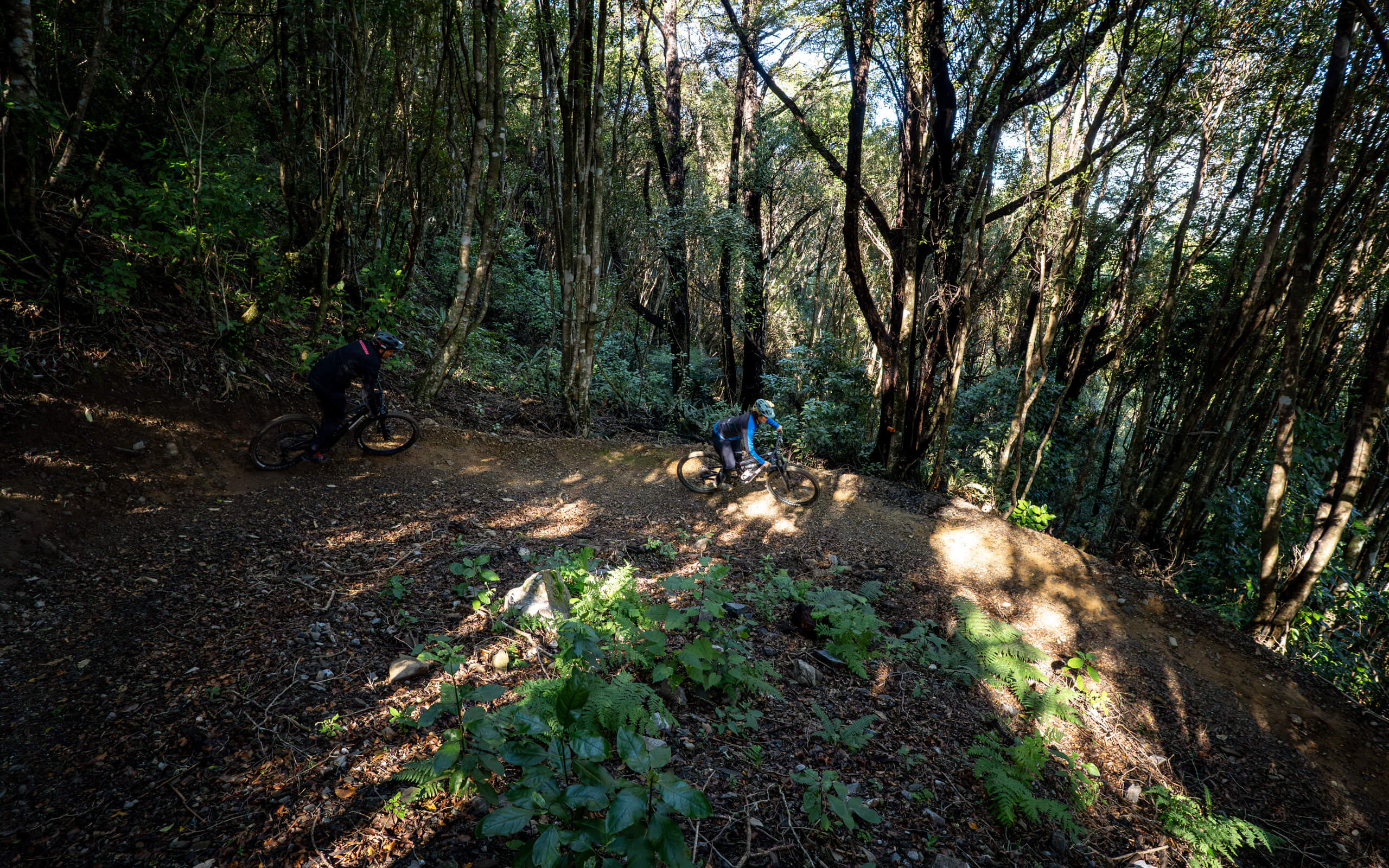 Pikikirunga Trail with Cycle Nelson credit NelsonTasmanNZ web 06659