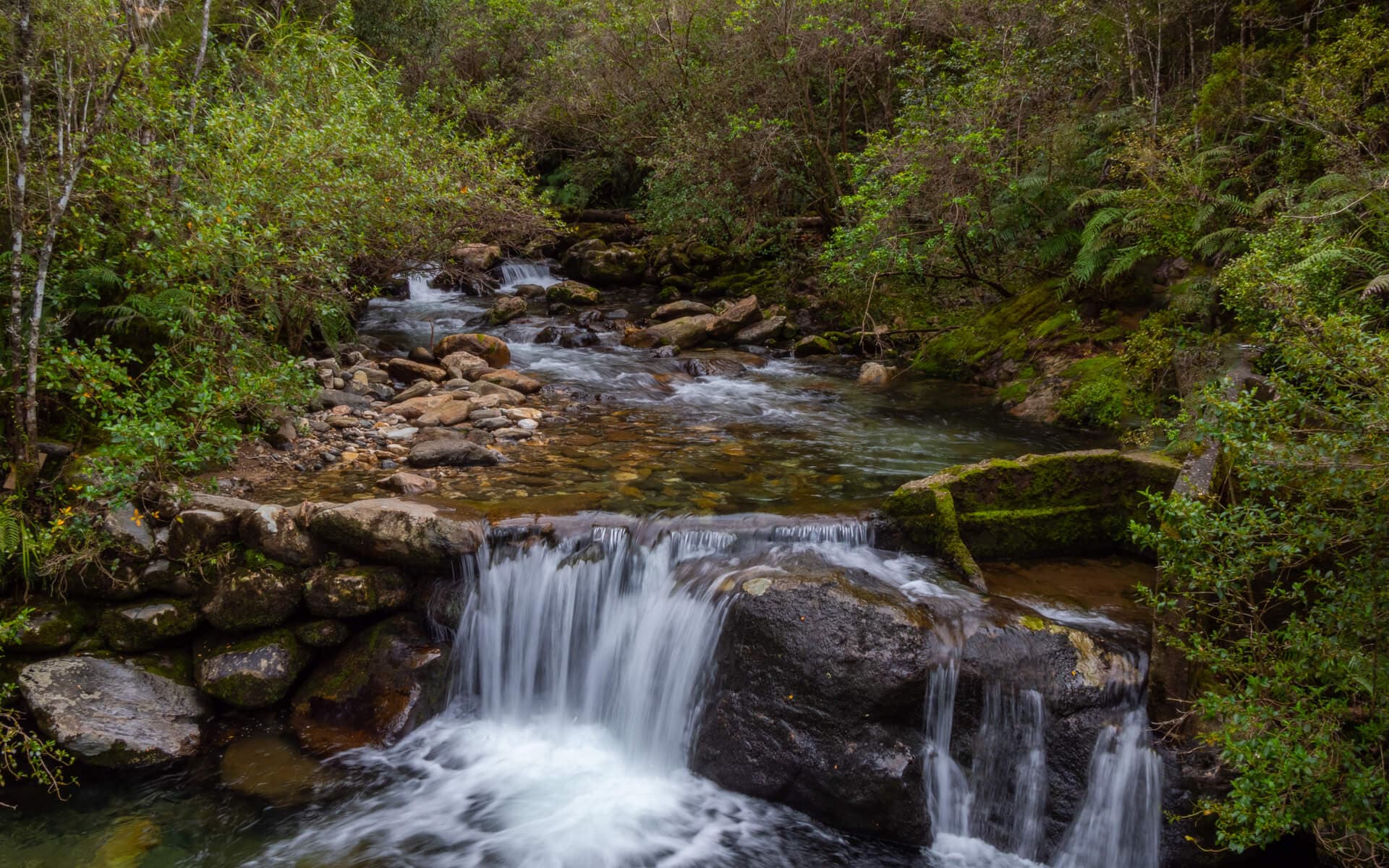Pupu Hydro Walkway waterfall