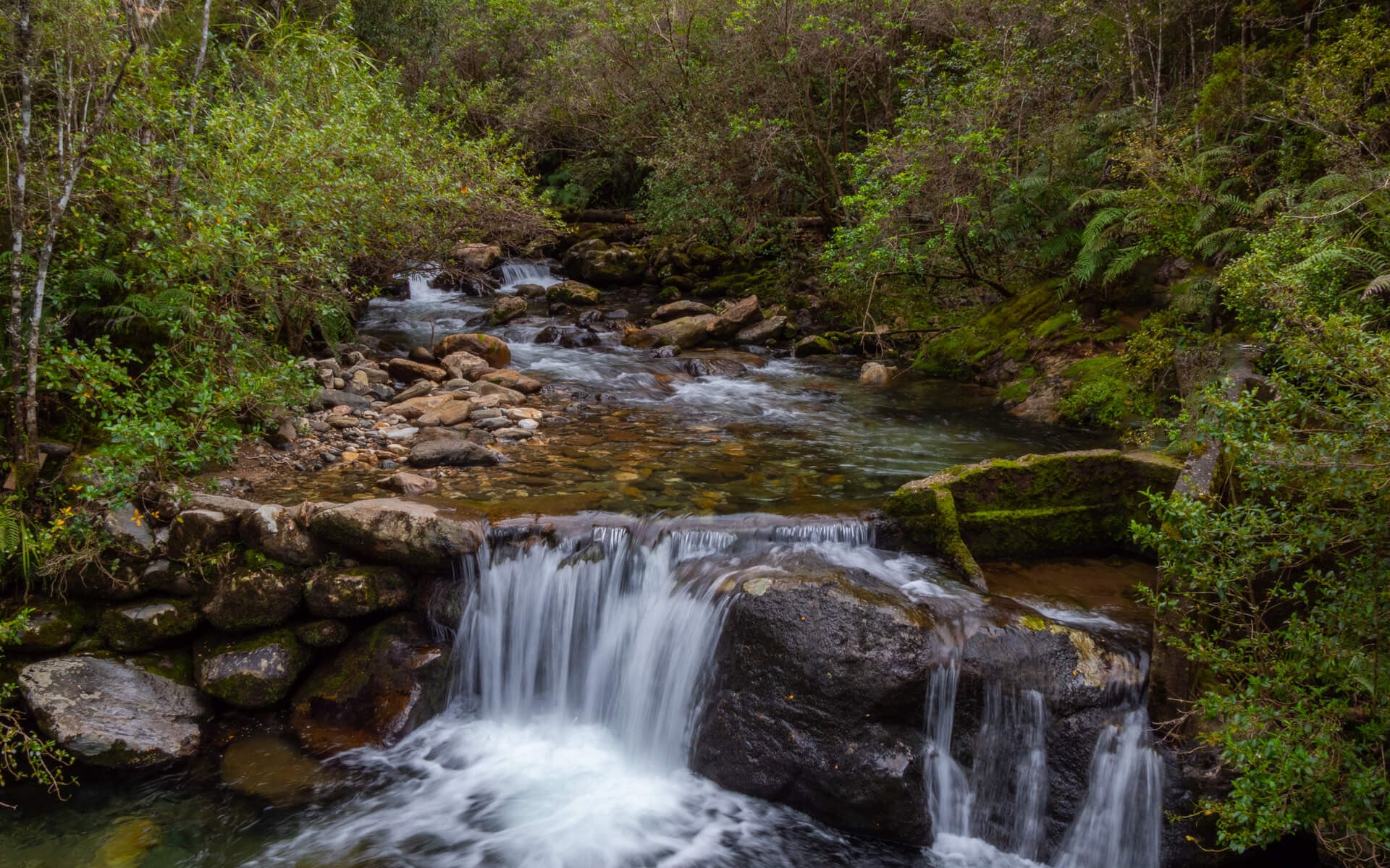 Pupu Hydro Walkway waterfall