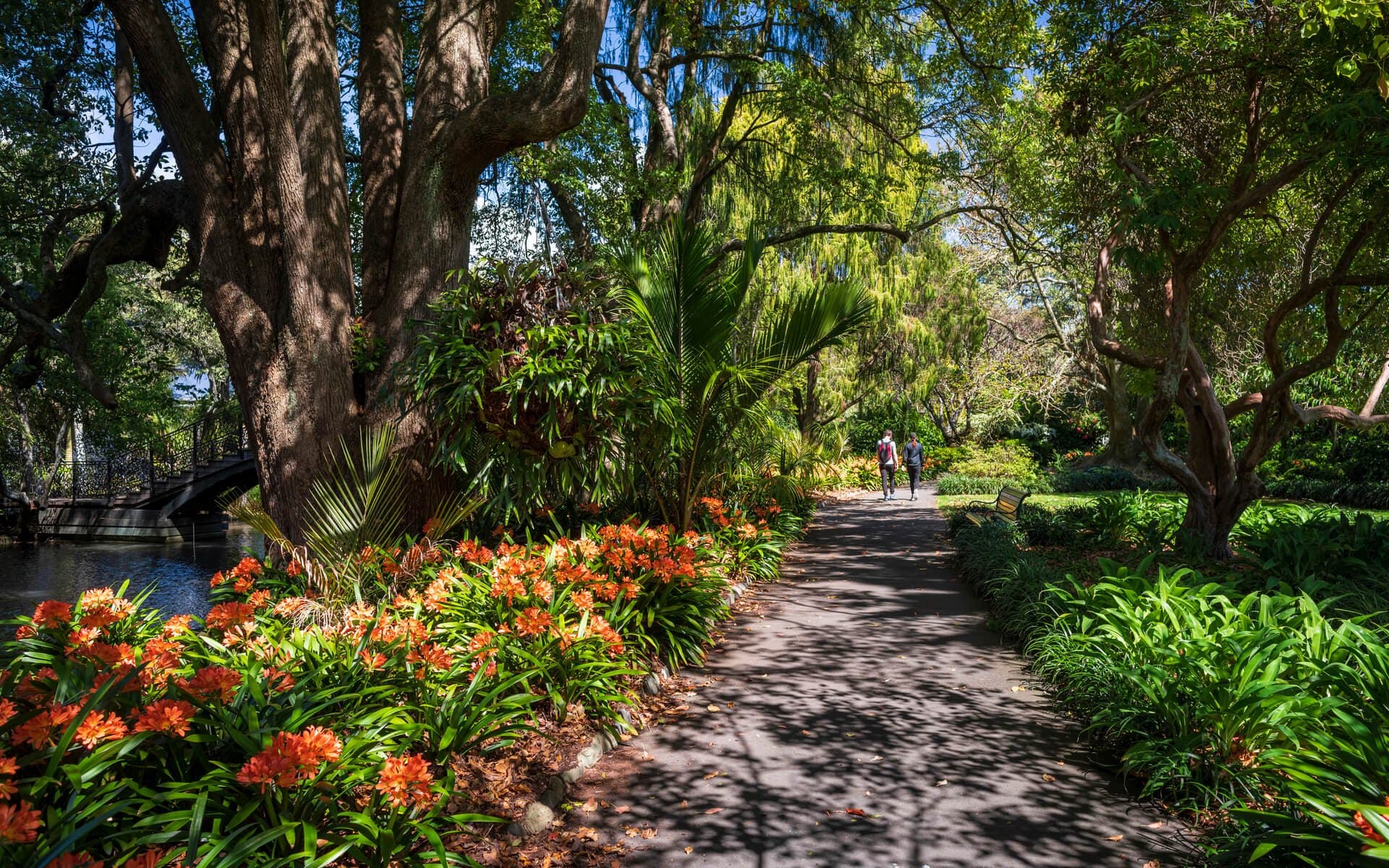 Queens Gardens is a peaceful haven in central Nelson, full of heritage charm and leafy beauty.