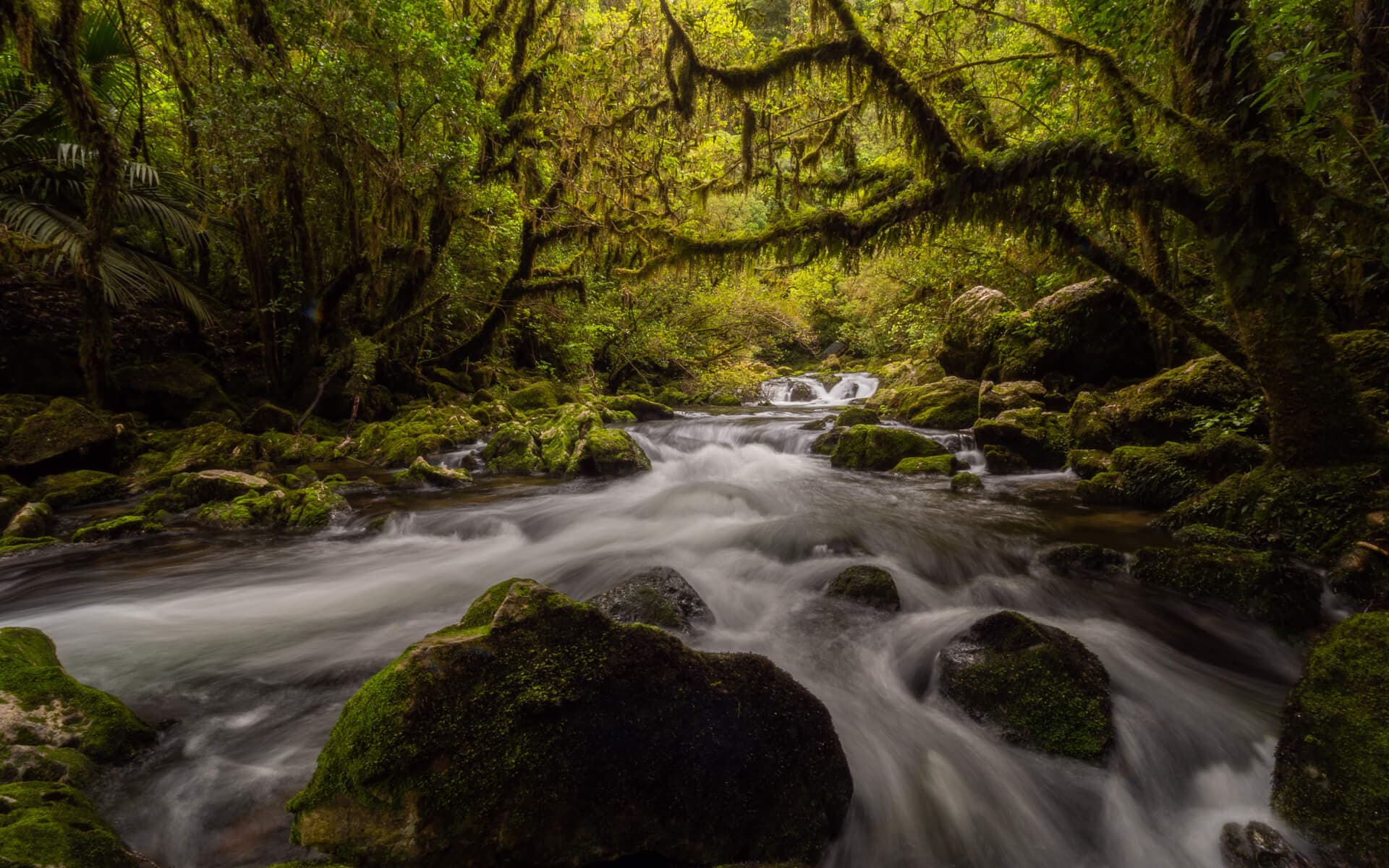 Riuwaka Resurgence water flow