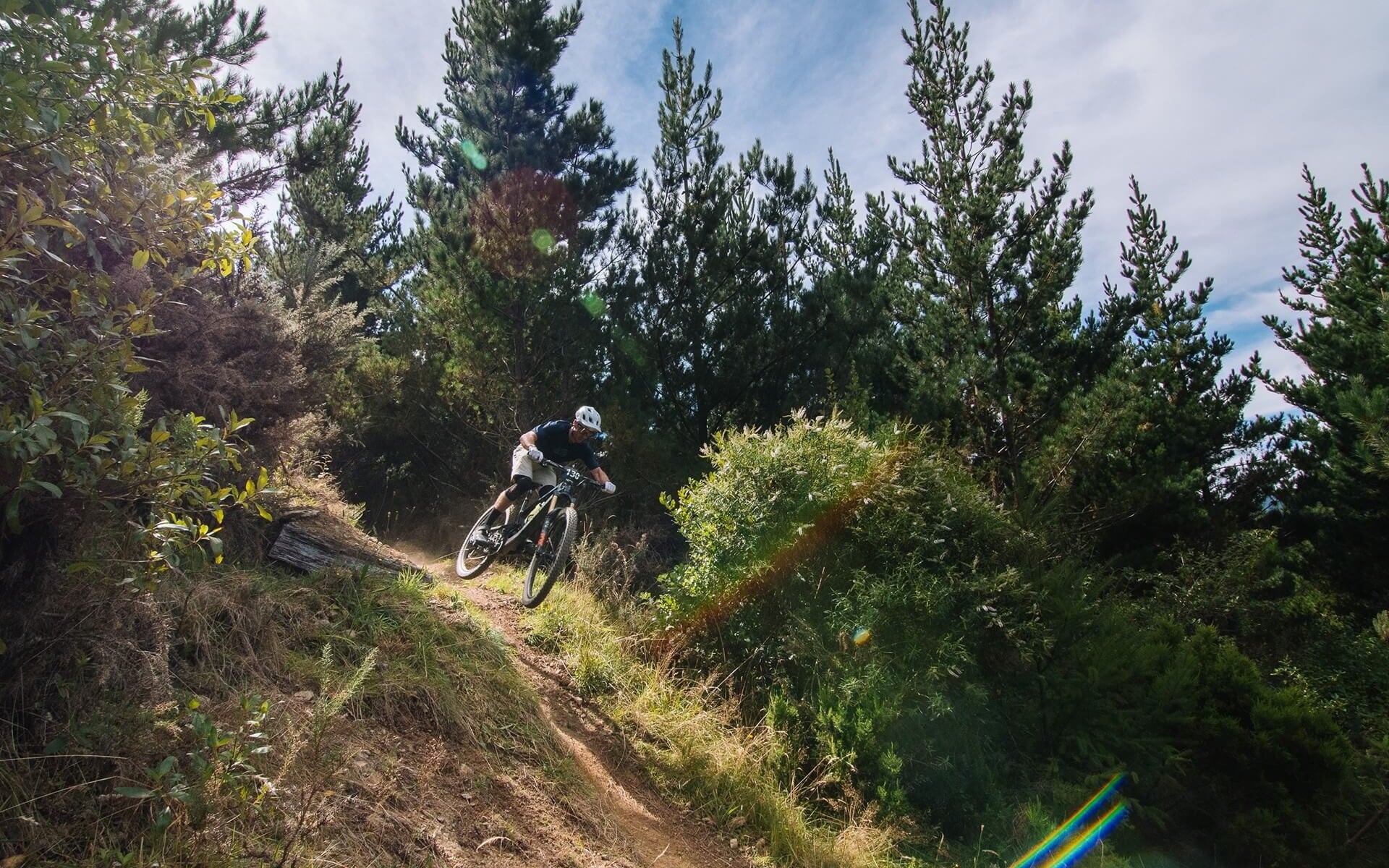NZMTB Rally Sharlands Trails credit Todd Couper