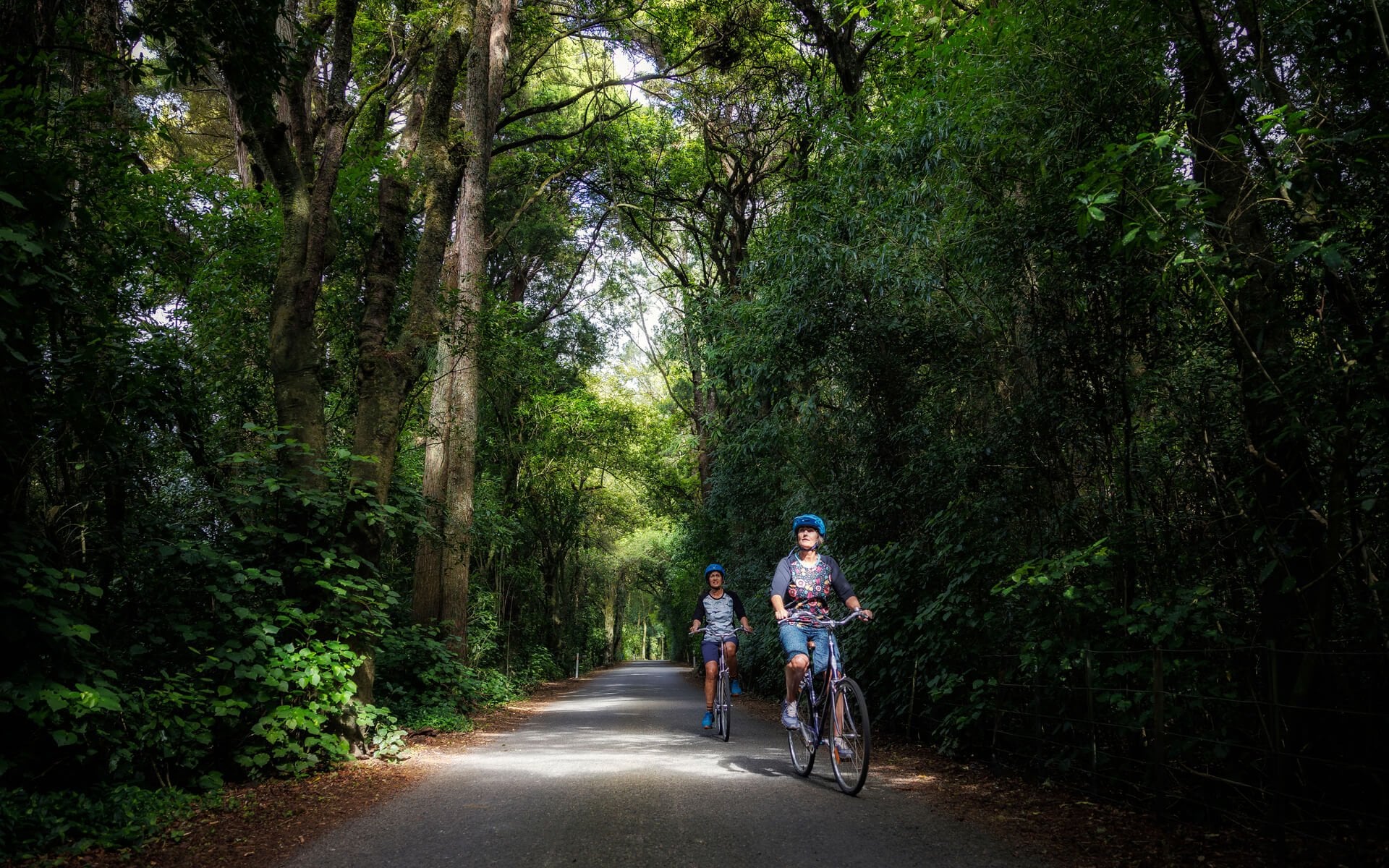 Cycling Motueka River West Bank Road Great Taste Trail