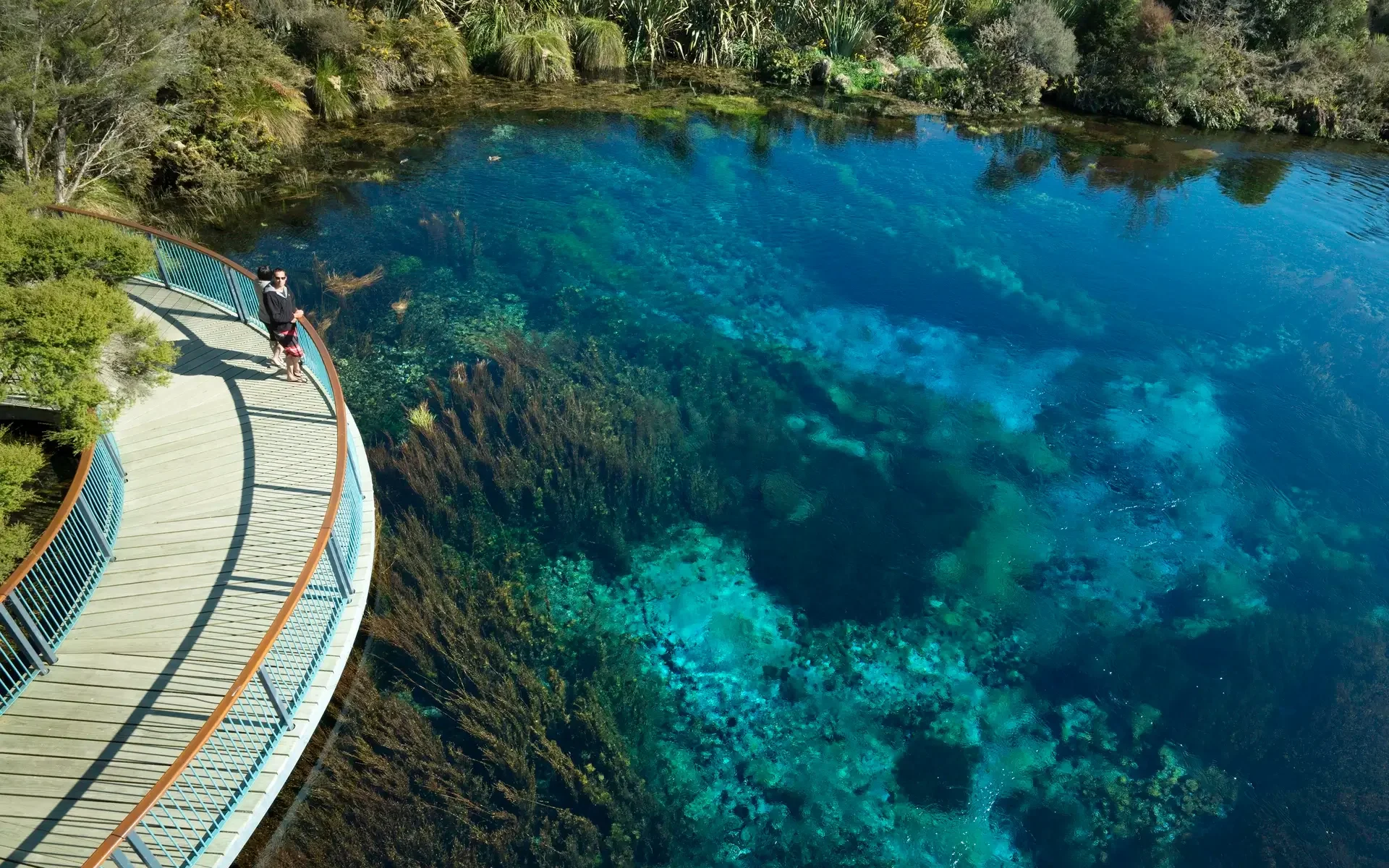 Sacred and stunning, Te Waikoropupū Springs is a place to pause and reflect.