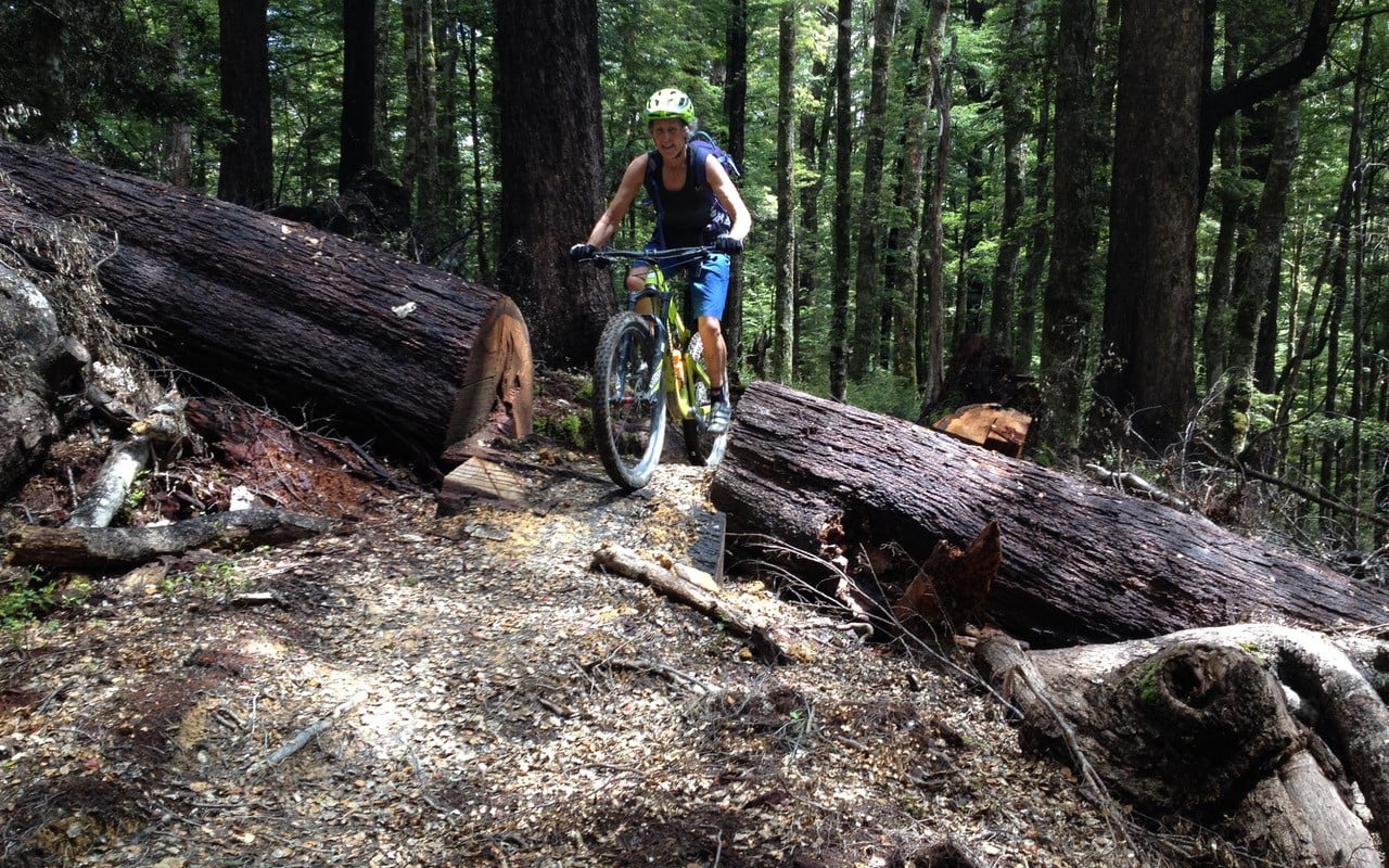 Teetotal Trails - Nelson Lakes