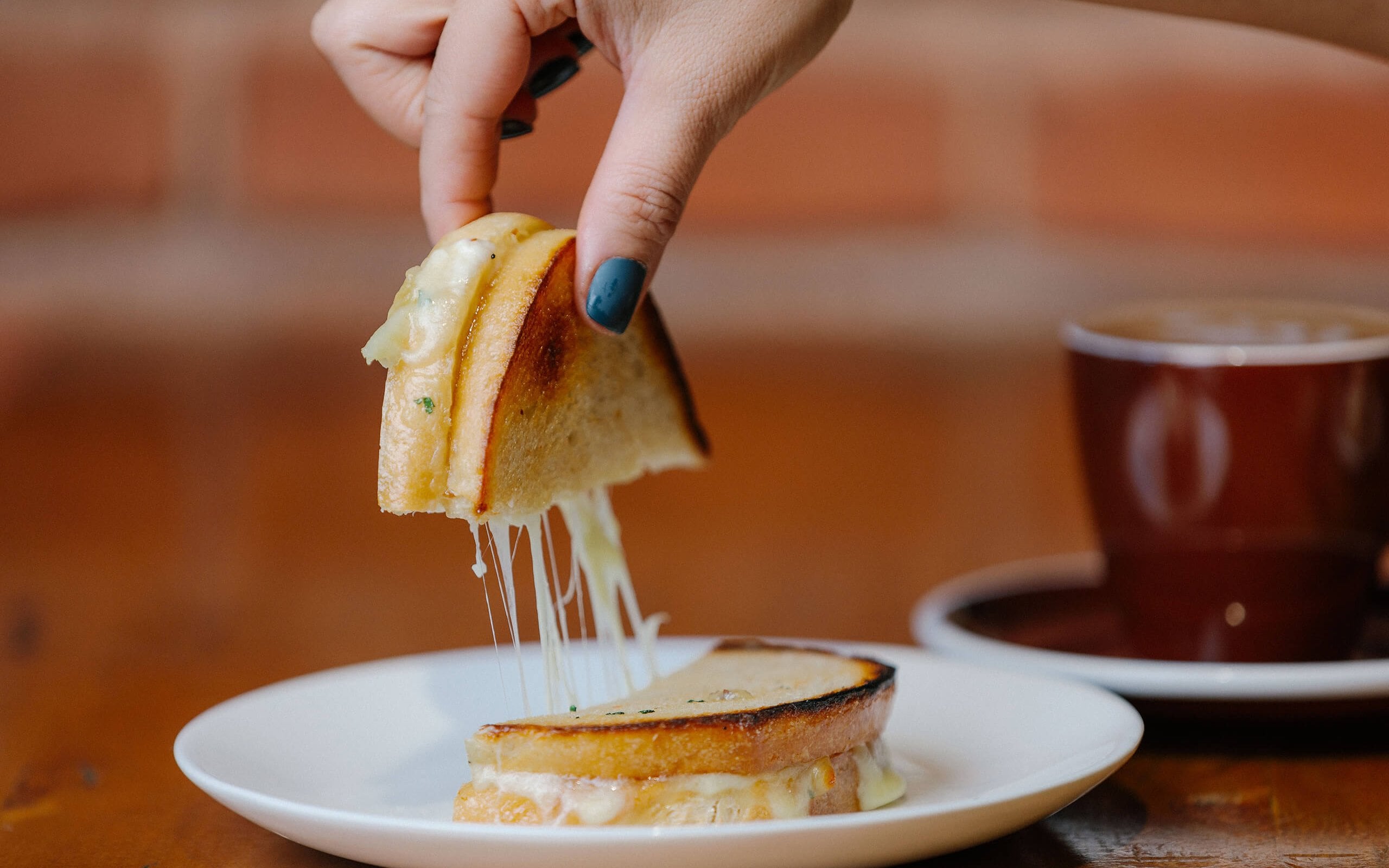 Tern Coffee House (2)