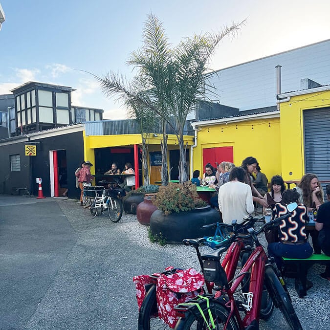 The Dogs Bone Nelson 1