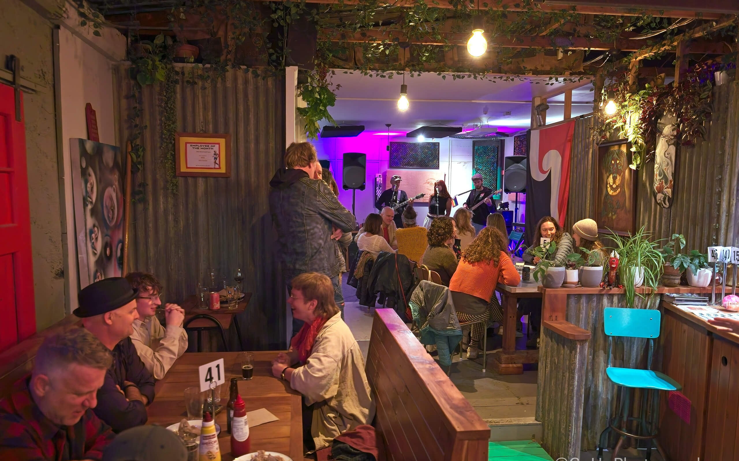 The Dog's Bone, Nelson