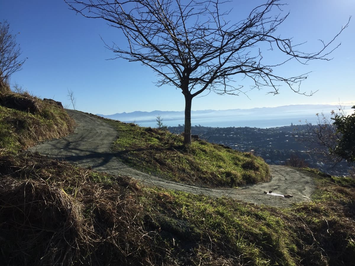 Grampians Reserve by Nelson City Council