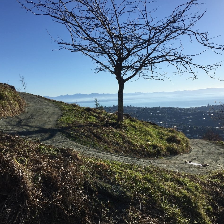 Grampians Reserve by Nelson City Council