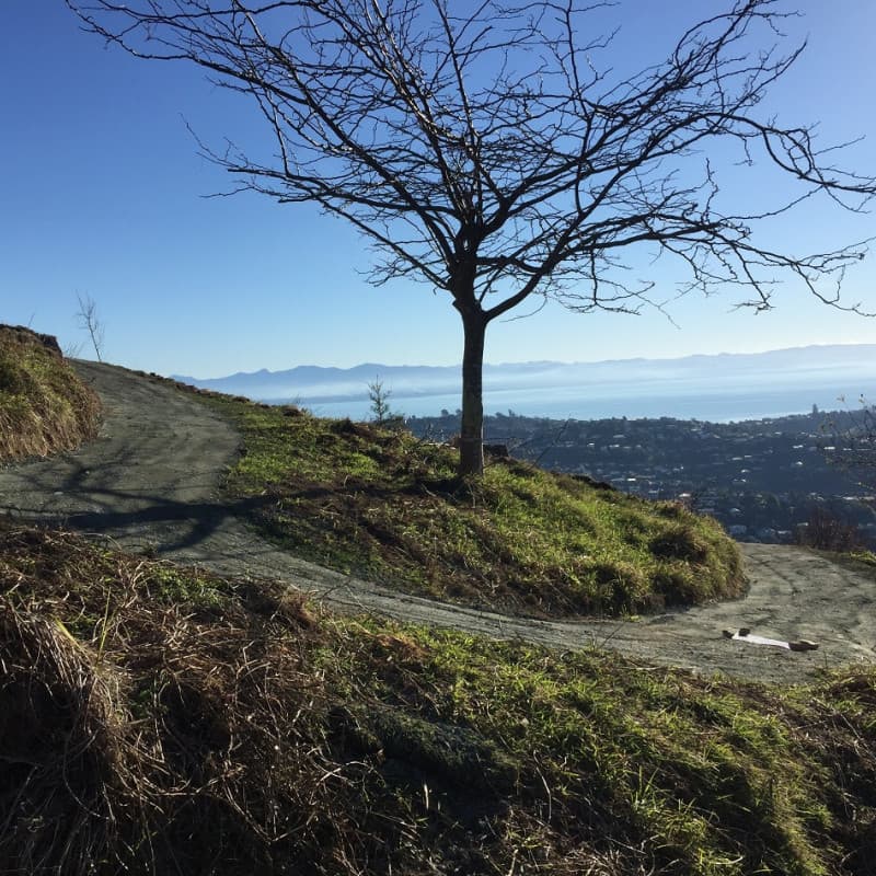 Grampians Reserve by Nelson City Council