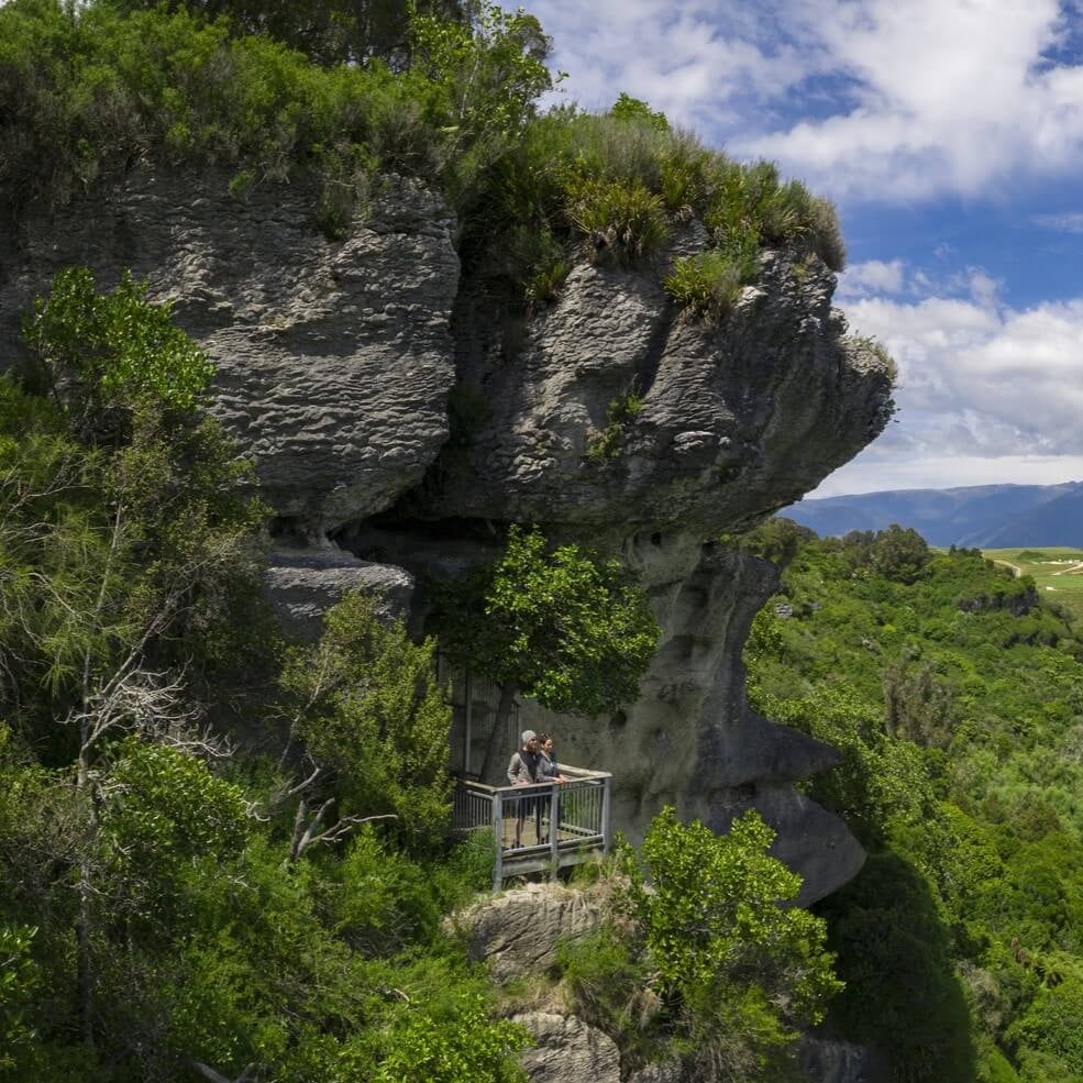The Grove is a mossy maze of limestone, ferns, and forest magic.