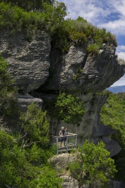 The Grove is a mossy maze of limestone, ferns, and forest magic.
