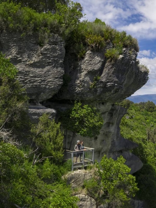 The Grove is a mossy maze of limestone, ferns, and forest magic.