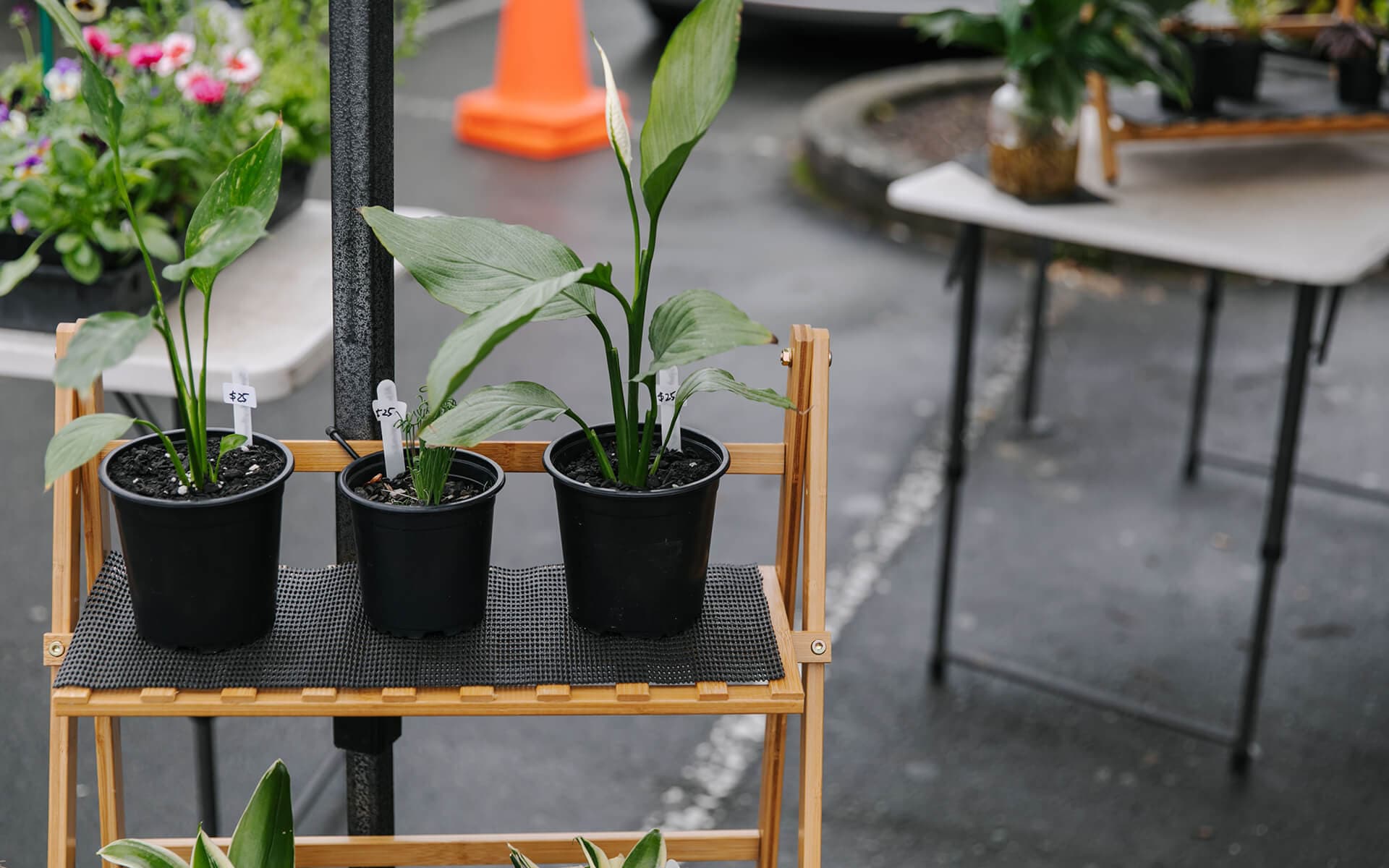 Nelson Market Saturday by Neat Places 2