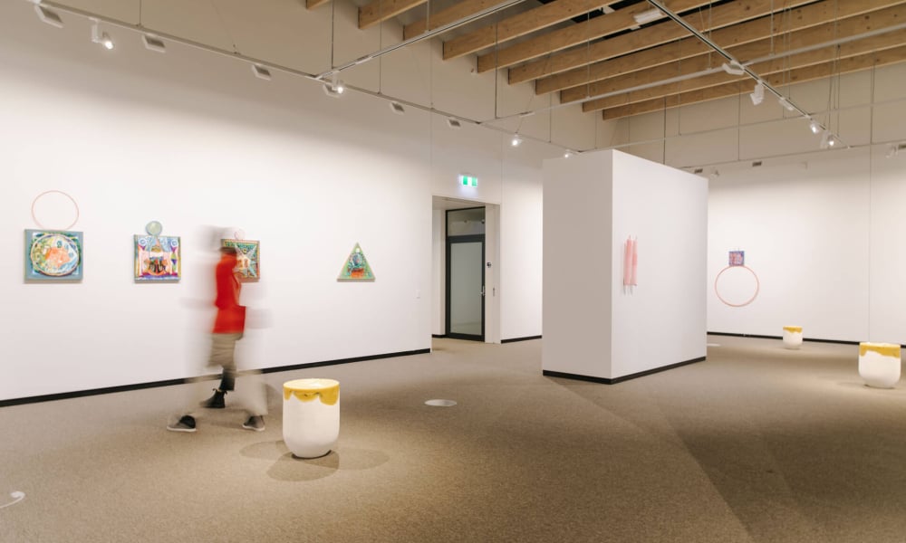 The Suter Art Gallery