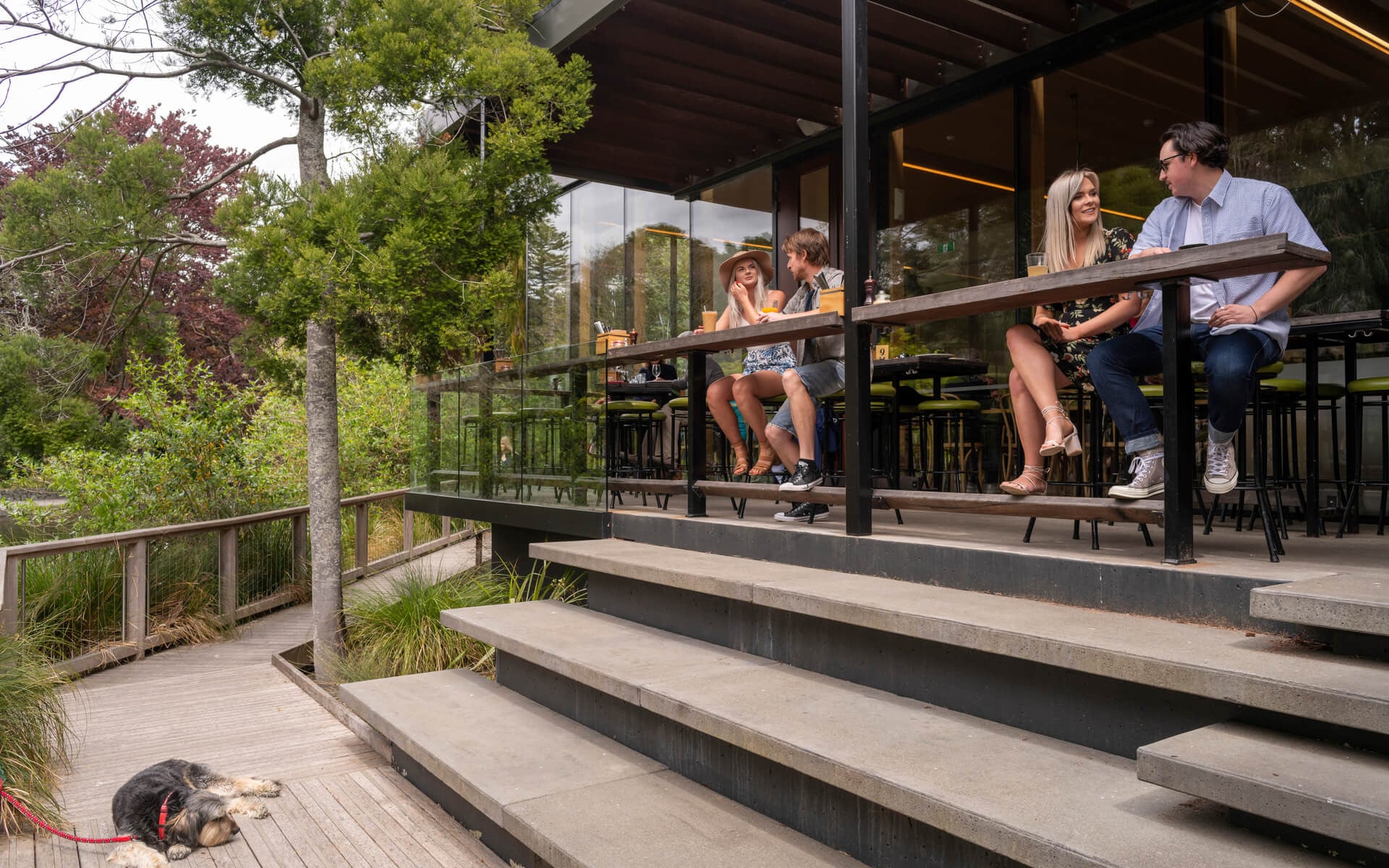 The Suter Cafe dog outdoors