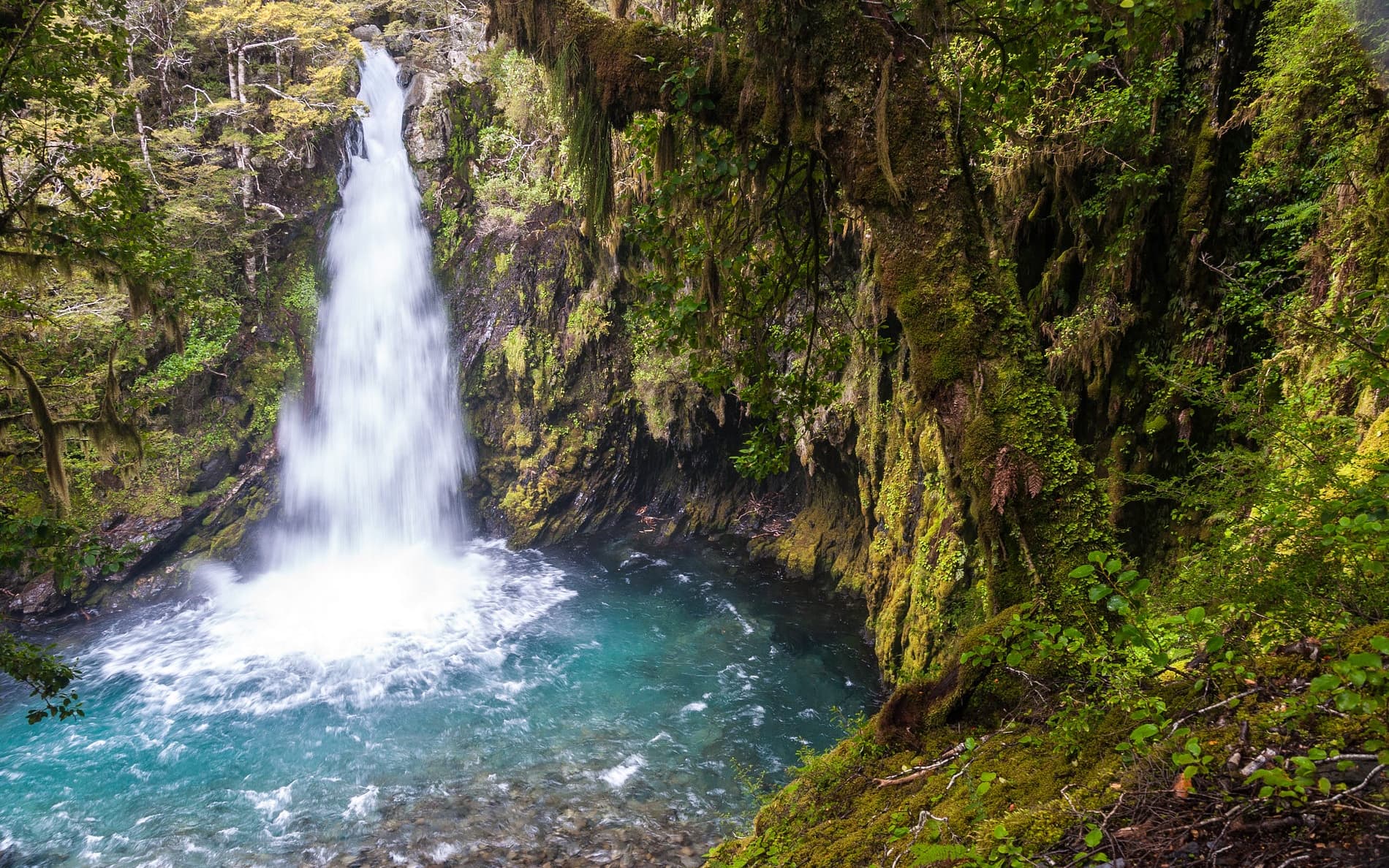Travers Falls Nelson Lakes National Park