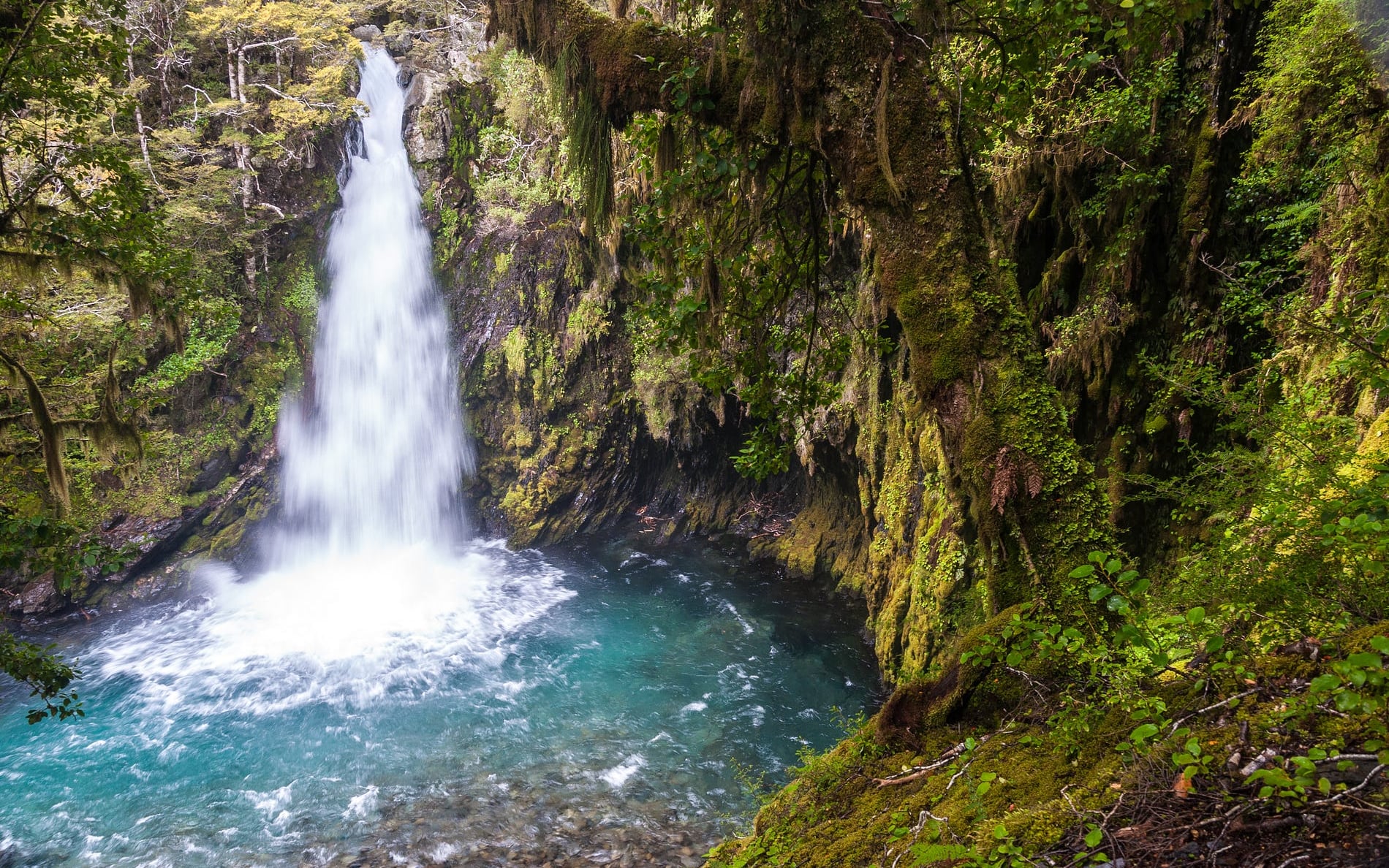 Travers Falls Nelson Lakes National Park