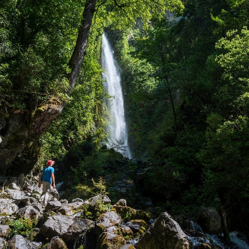 Whisky Falls at Lake Rotoiti
