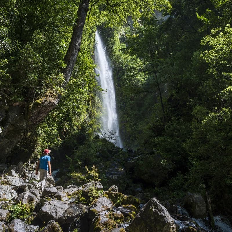 Whisky Falls at Lake Rotoiti