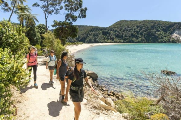 The Abel Tasman Coast Track is NZ’s most accessible Great Walk, famous for its golden beaches and easy coastal trails.