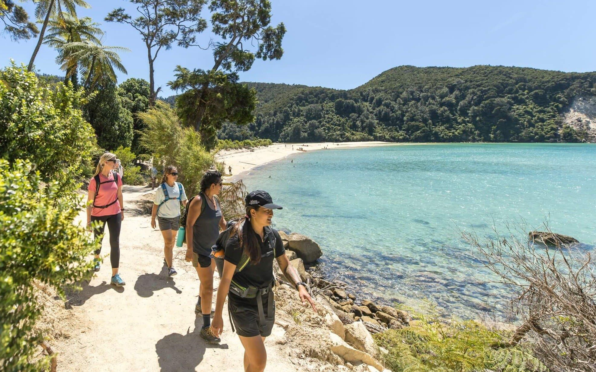 The Abel Tasman Coast Track is NZ’s most accessible Great Walk, famous for its golden beaches and easy coastal trails.