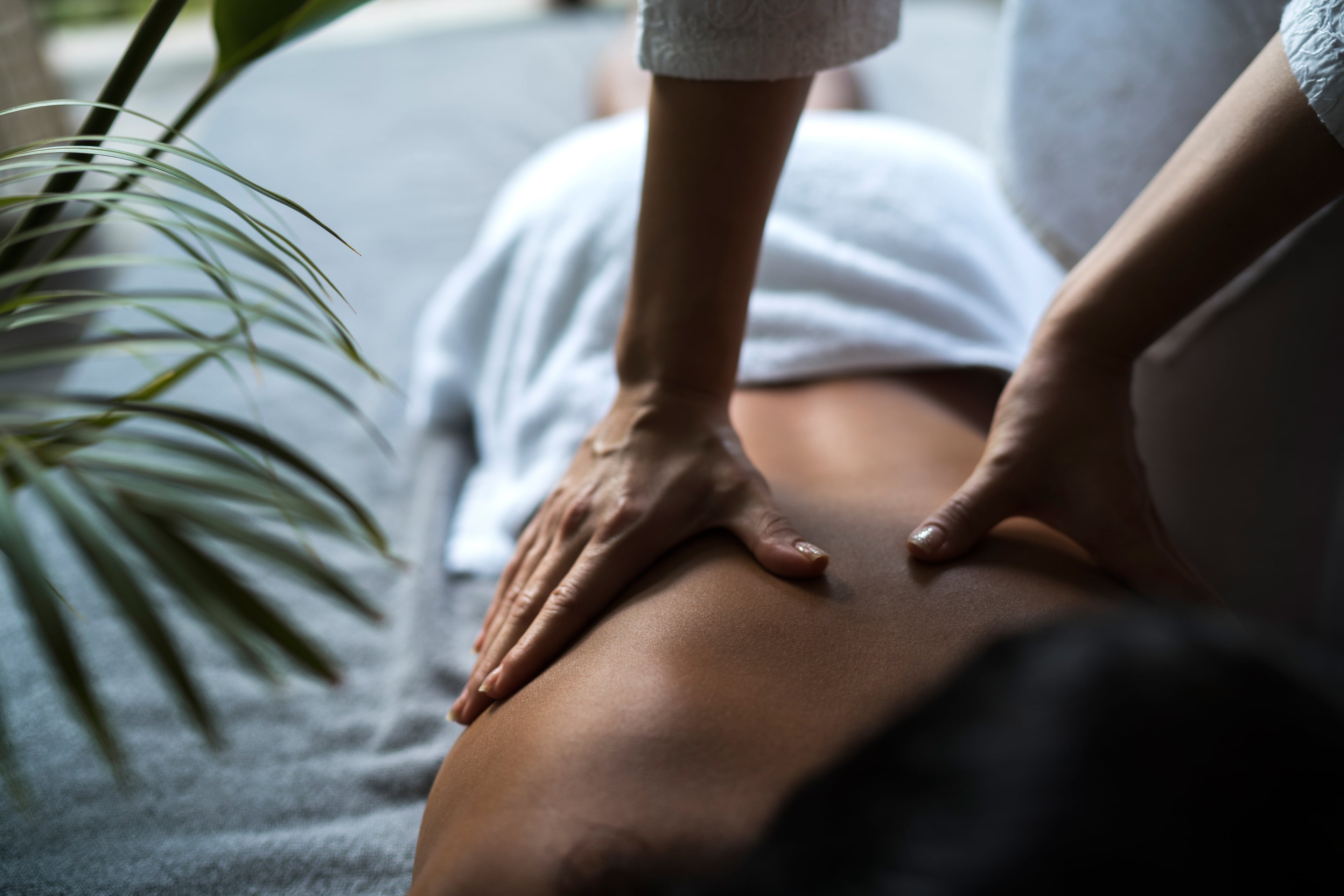 Awaroa Day Spa Massage