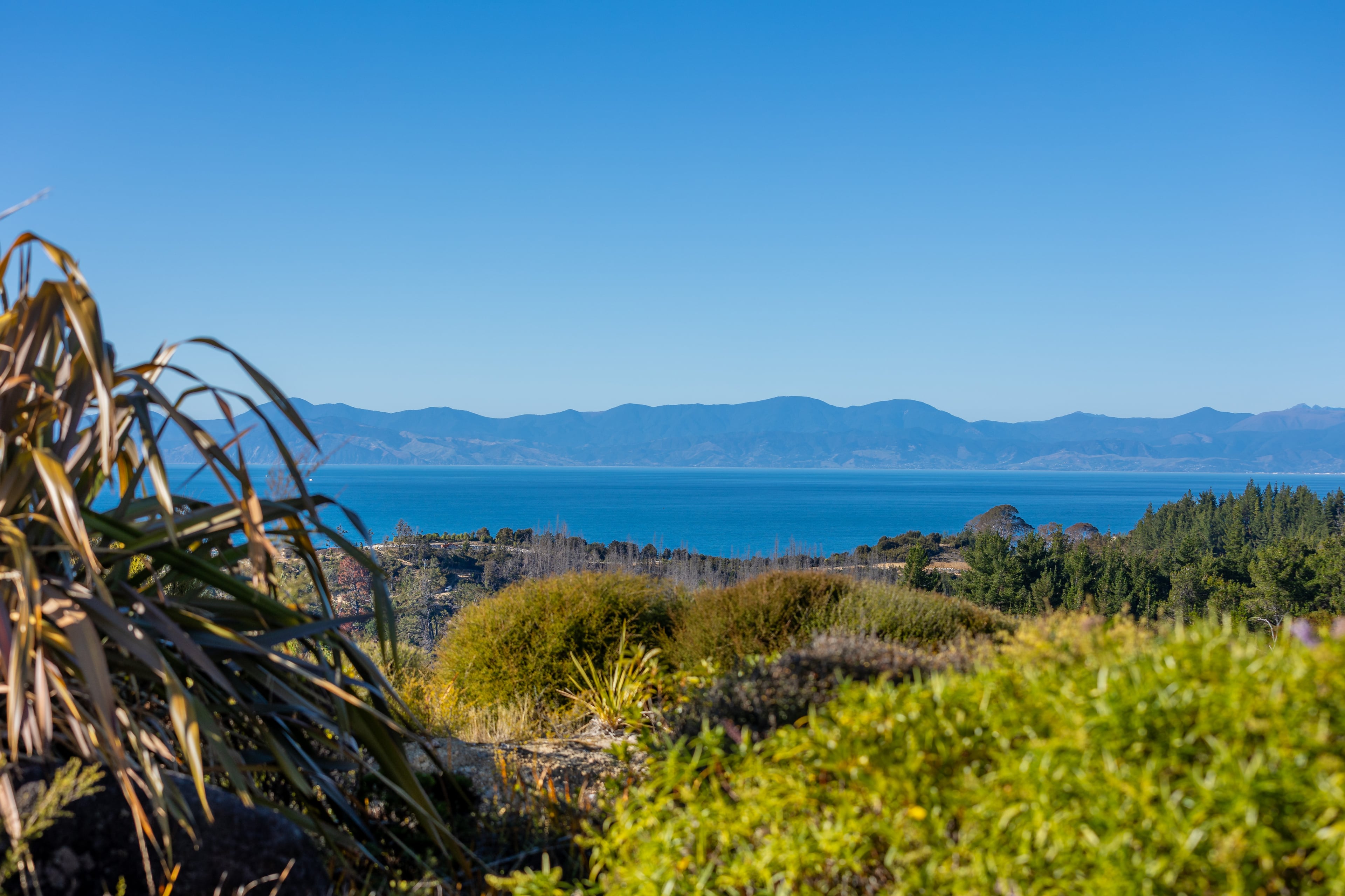 View from the deck to Tasman Bay