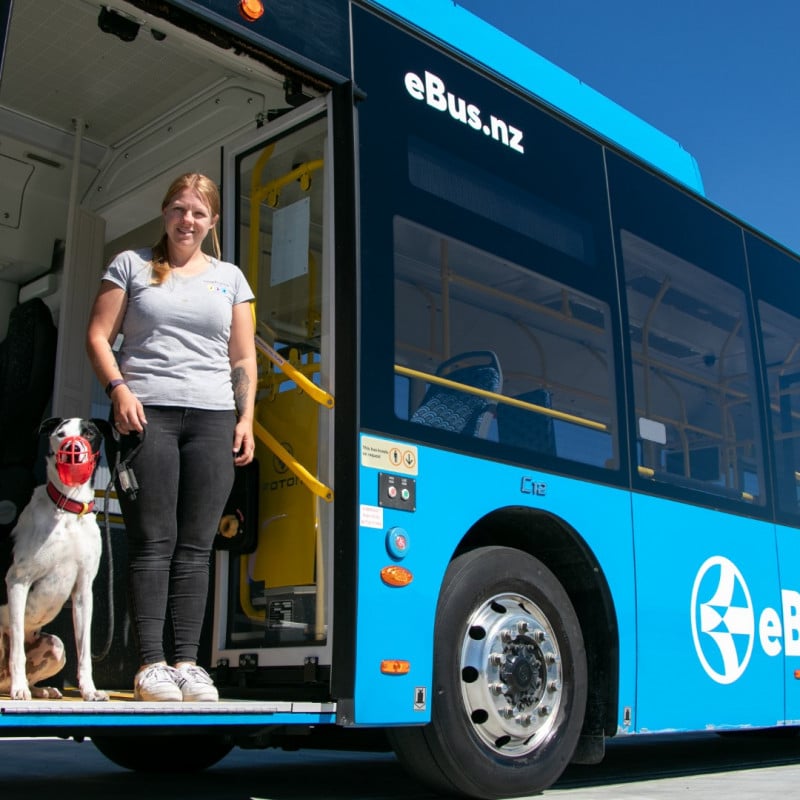 Nelson Bus Service Getting around Nelson Tasman | Your Essential Travel Guide