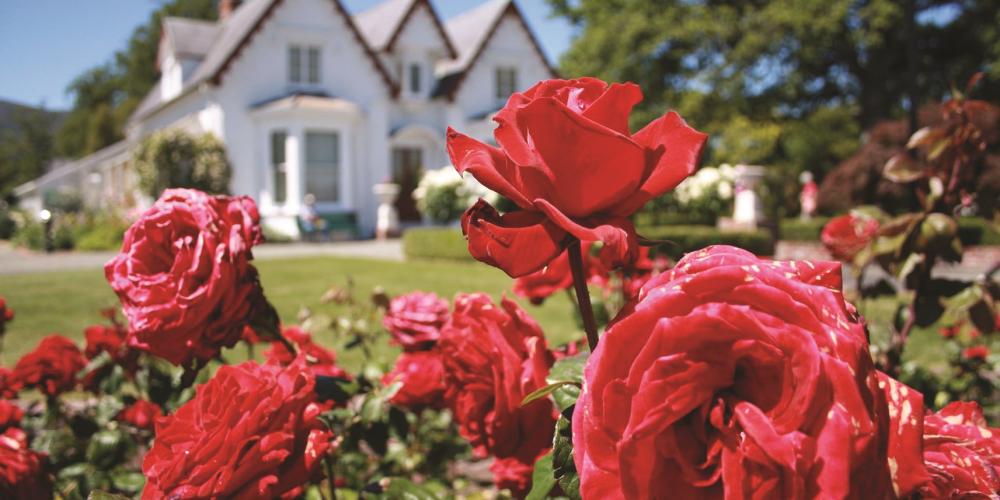 Broadgreen Historic House Roses Broadgreen Samuels Rose Garden