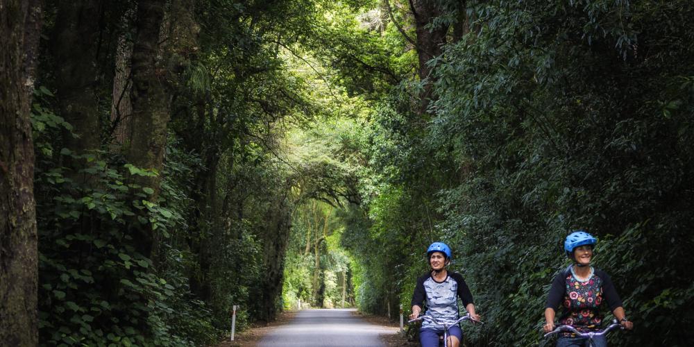 Cycling through a natural tunnel credit Virginia Woolf photography Tasman's Great Taste Trail