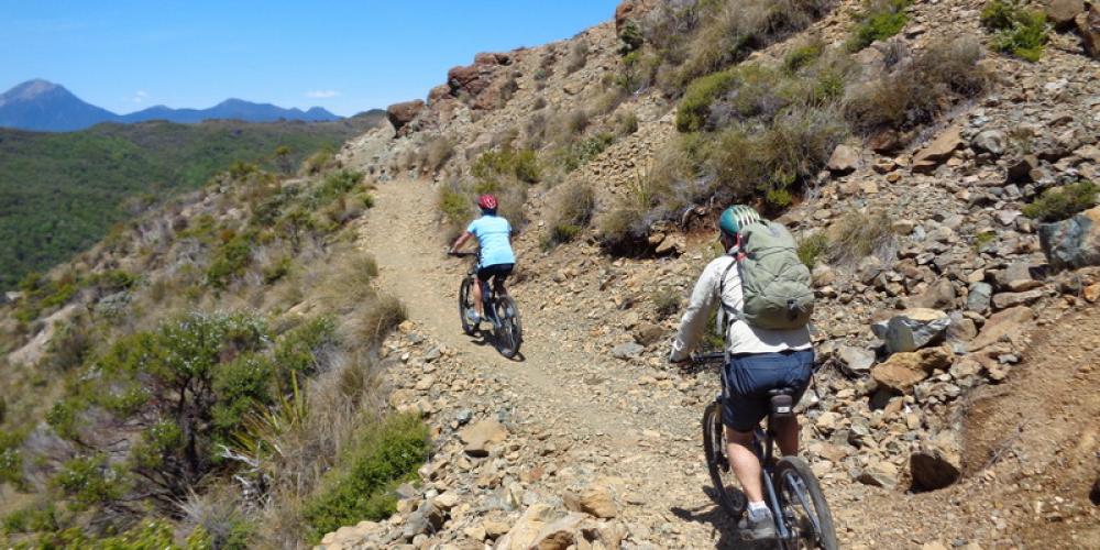 Top Section Mountain Bike Tours, Shuttles and Transfers